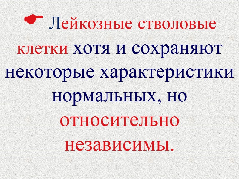  Лейкозные стволовые клетки хотя и сохраняют некоторые характеристики нормальных, но относительно независимы.